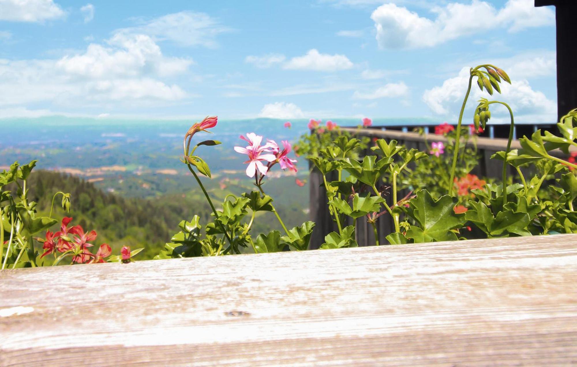 Vila Ferienhaus In Eibiswald Exteriér fotografie